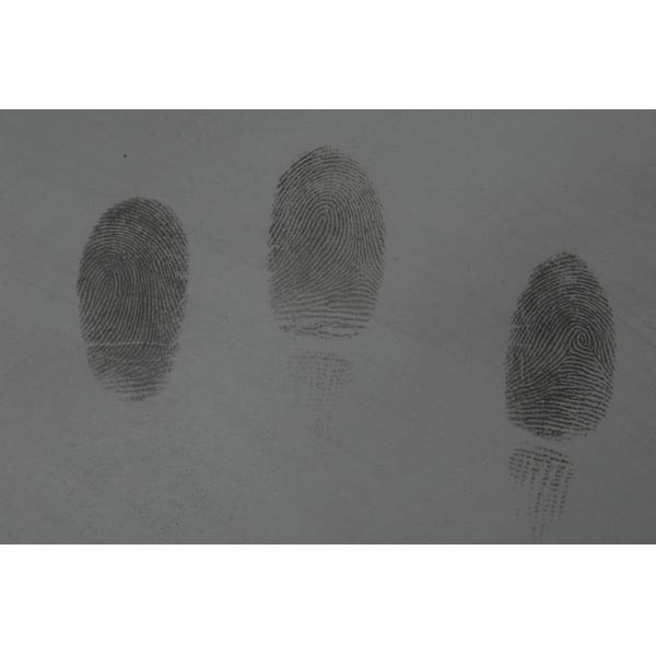 C099 Gray magnetic fingerprint powder