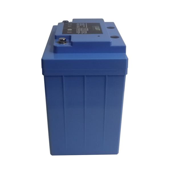 El paquete de baterías de litio hierro fosfato de 12V de promoción 12.8v Lifepo4 batería