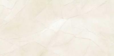600 X 1200 MM Tile That Looks Like Marble No Color Difference For House Flooring