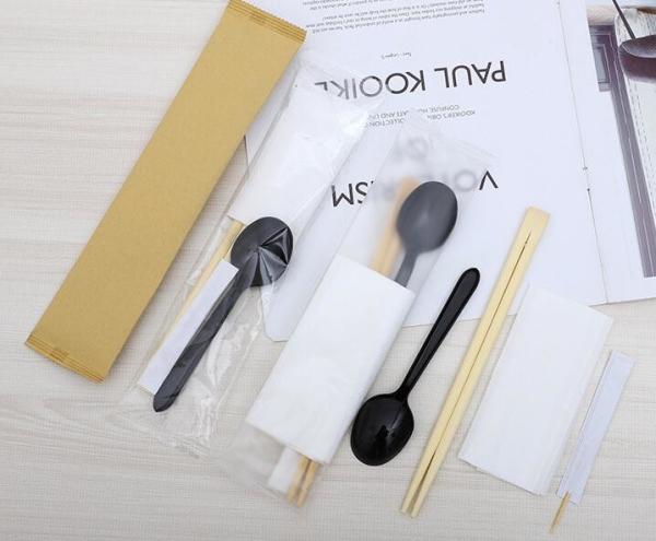 Os utensílios de mesa descartáveis da boa saúde ajustam hashis e colher do guardanapo