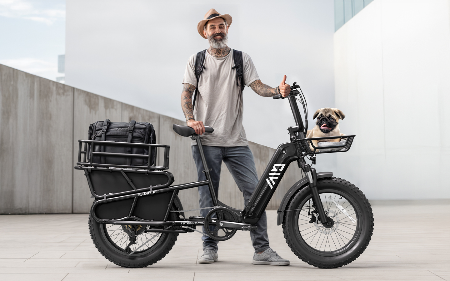 20 Inch Electric Cargo Bike 48V 750W Folding Urban Commuter Ebike for Family Kids Pets Large Rack City Transport