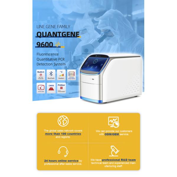 Highly Sensitive PCR Detection System with 500-800nm Fluorescence Detection Wavelength