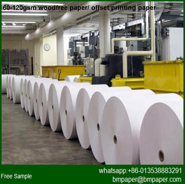 Double Side Virgin Wood Pulp Offset Paper