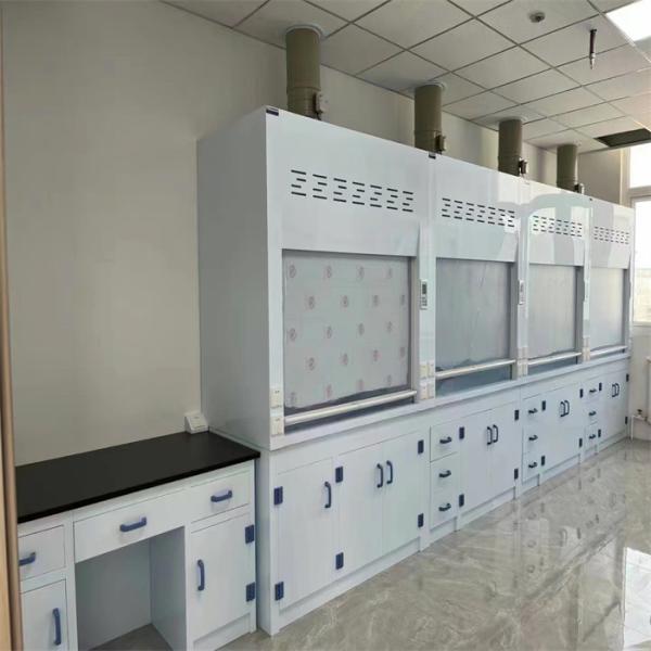 Customized Made Wall Mounted Chemical Fume Hood With Scrubber Systems