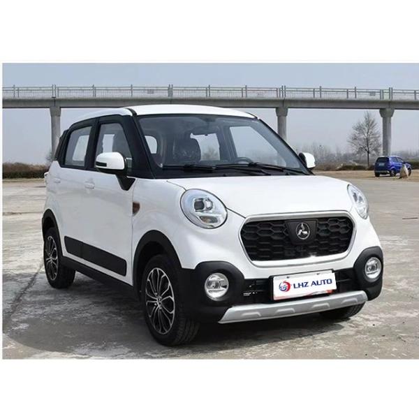 Low-Speed Electric Car for Older Person No Driver's License 6 Hour Charging Time
