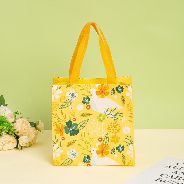 Newest Fashionable Recyclable Non-woven Grocery Bag With Logo for Medium-Sized Items