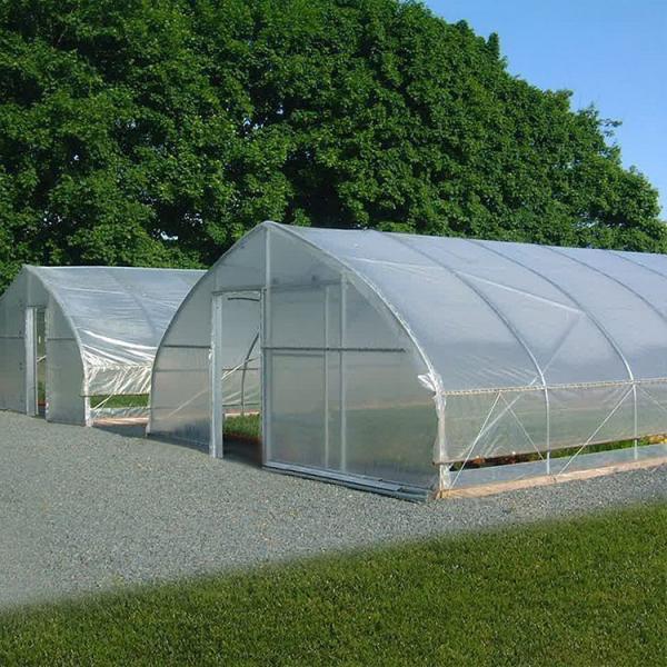 Galvanized PE Film Single Span Greenhouse For Vegetables 9x30m