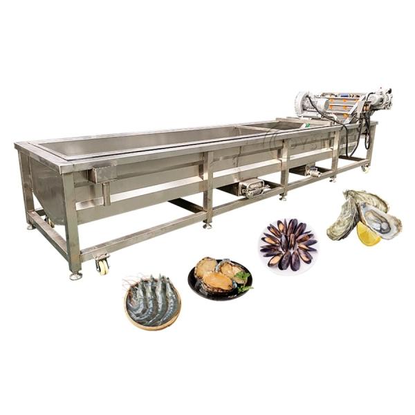Máquina automática de lavagem de alho comercial de 9,4 kW