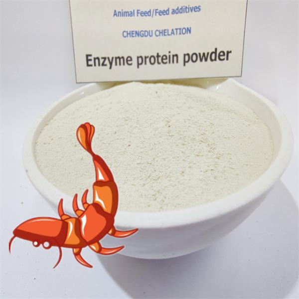 80% Proteína crua de peixe Proteína aminoácidos aditivos para alimentos com 95% de digestibilidade de proteínas