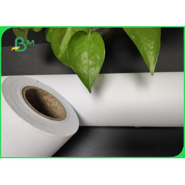 Eco - rollo amistoso del papel de trazador del chorro de tinta cad de A0 A1 para el dibujo de ingeniería