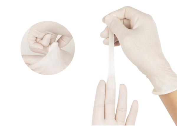 Professional Disposable Protective Gloves Latex Examination Gloves Powder And Powder Free