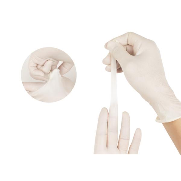 Professional Disposable Protective Gloves Latex Examination Gloves Powder And Powder Free