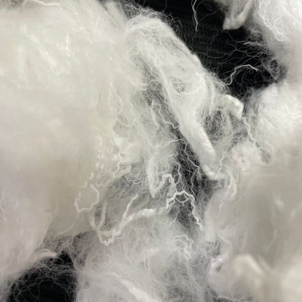 1.5D*38MM Moisture Wicking Quick Dry Polyester Staple Fiber, for Sportswear Underwear & Jersey Fabric