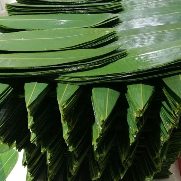 Organic Fresh Sushi Bamboo Leaves Food Plate Decoration Barbecue Serving Tool Bamboo Leaf