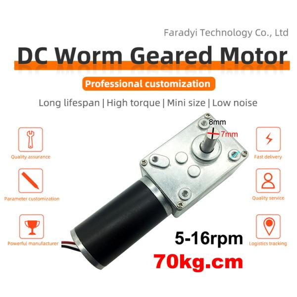 Подгонянное уменьшение Dc мотора планетарной шестерни червя 12v 24v микро-