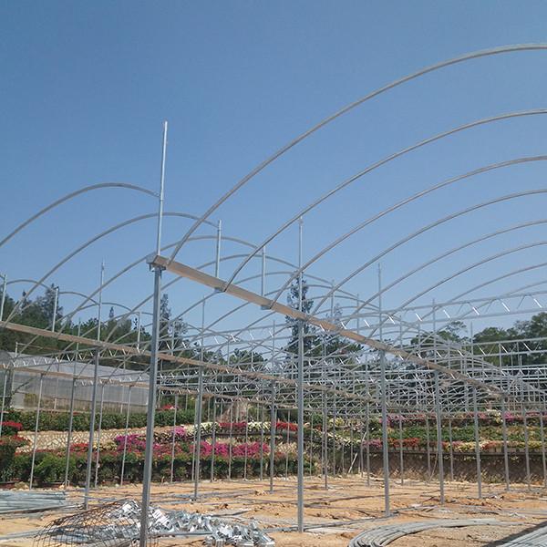 Industrial Flower Commercial High Tunnel Greenhouse With Fixed Roof Windows