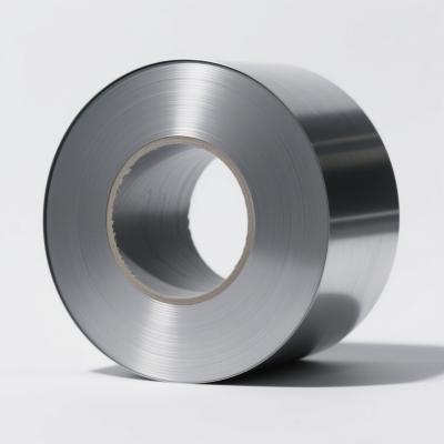 AISI Rolled SS Steel Coil in  201 304 304l 310S 316L 430  grade