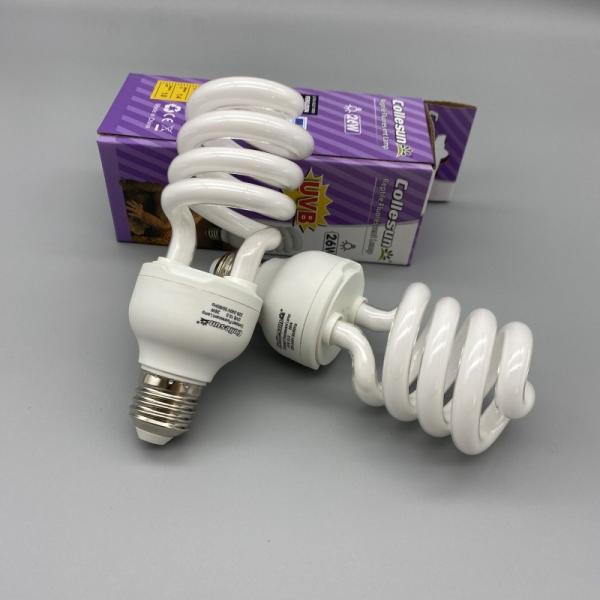Lampe à incandescence de 26 W CFL UVB lampe à incandescence de dragon barbu