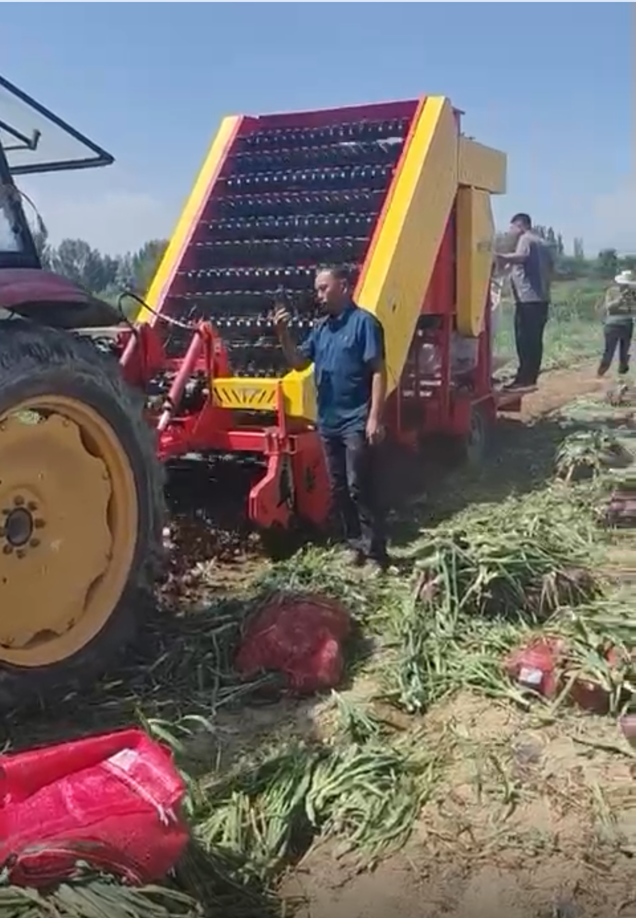 onion harvesting machine harvester