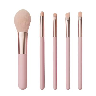 O cosmético portátil sintético do curso do cabelo 5pcs escova a cara completa