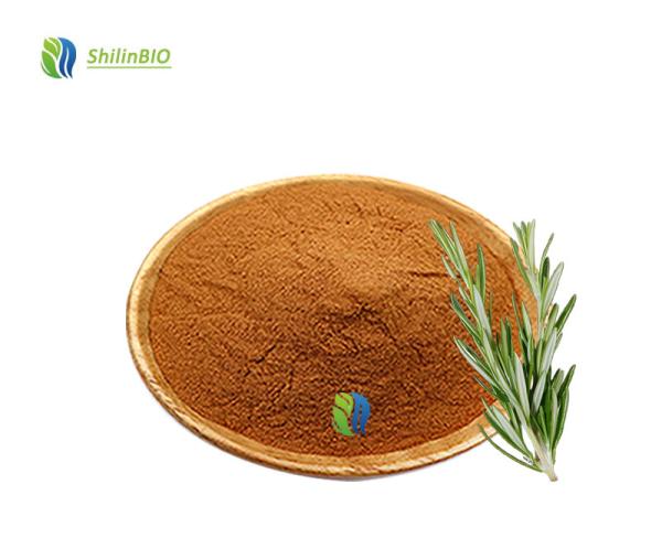 Rosemary Extract Carnosic Acid 10% Carnosic Acid