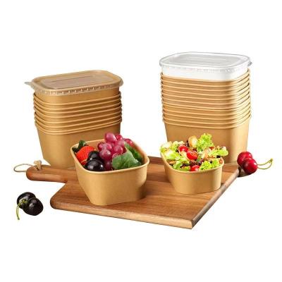 500-1000ml Fast Food Takeaway Boxes With CMYK/Pantone Printing Food Container Paper Box