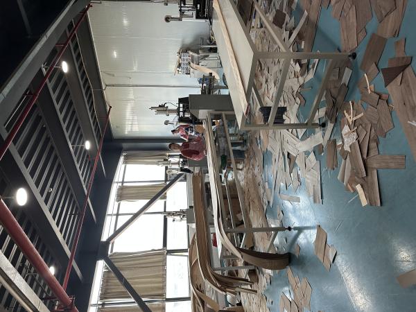 Walnut Wood Veneer Edge Banding A / AA Grade