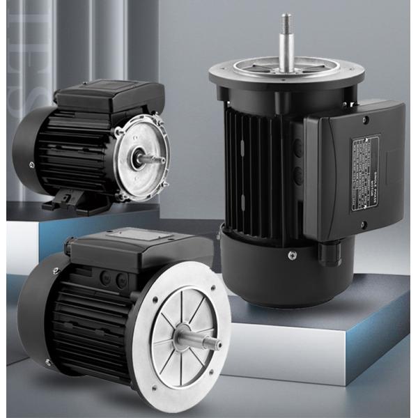 Moteur asynchrone monophasé en aluminium étanche pour pompe de piscine 1500 tr/min 220V 50/60Hz