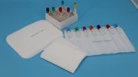 Boîtes d'expédition isolées en plastique blanche de 95 kPa boîtes de glace jetables