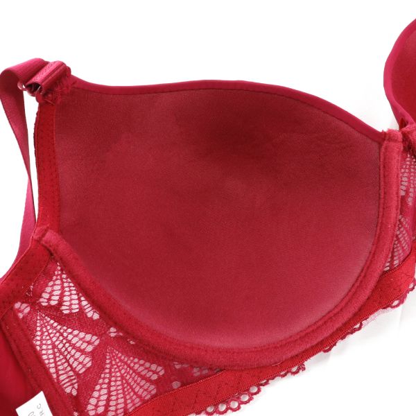 E Cup New Arrival Plus Size 40-50E Women Lace Bra Beautiful Back Comfortable Bra Women Plus Size