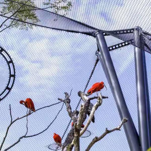 Balustrade Infill Stainless Steel Wire Rope Fence Mesh Bird Netting For Zoo Animal Enclosure