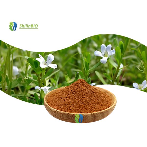 High Quality Bacopa Monnieri Extract 50% Bacopasides Powder