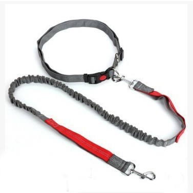 Вокруг пояса ведущего каната любимца талии взрывозащищенного для средних больших собак