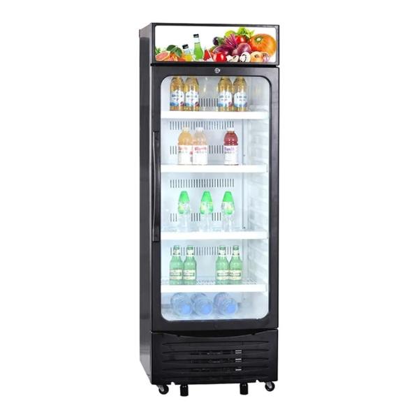 220 - 240V Upright Showcase Cooler With Power Supply 310L Beverage Display Chiller