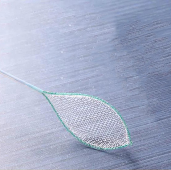 Класс пинцета нержавеющей стали устранимый схватывая II