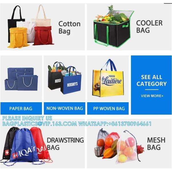 Portable Wholesale Insulated Dual Compartment Lunch Cooler Bag Customizable Promotional Fashion Lunch Beer Package
