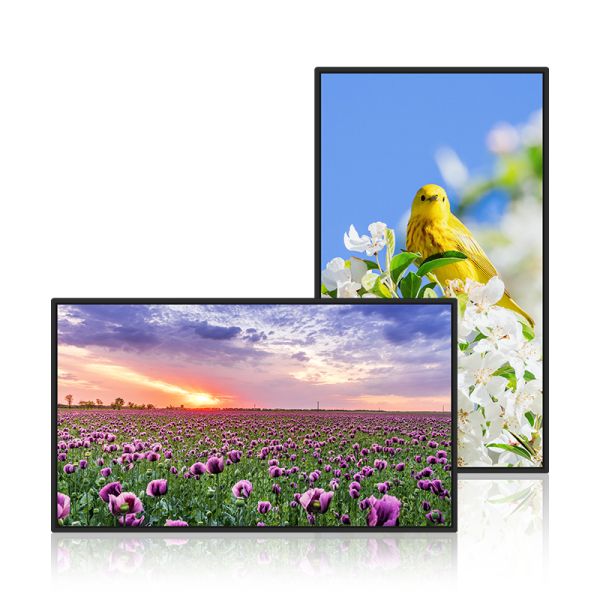 49 Inch Wall Mount Android Digital Signage | Indoor LCD Advertising Display for Retail & Shopping Mall
