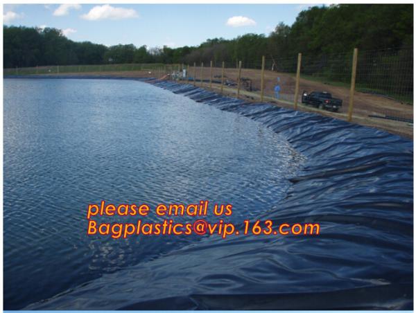 Construction Builder Film, Waterproof Dampproof, PONDS LINER, Geomembrane, Geotextile, Protective Cover