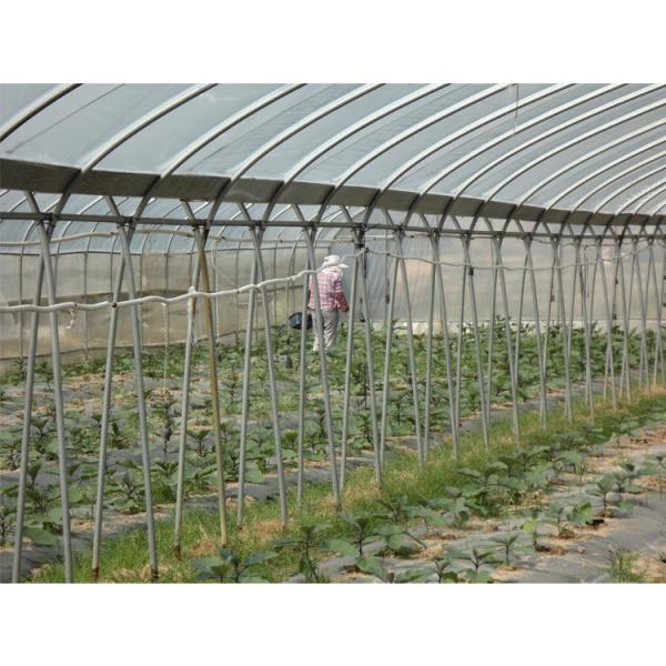 Film Surface Material Multi-Span Agricultural Greenhouses IGreen Greenhouse