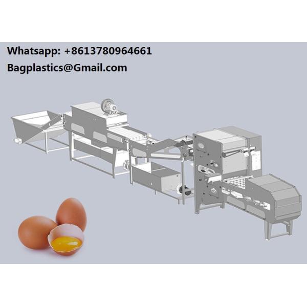200L To 1000L Fully Automatic Egg Yolk Powder Egg Liquid Production Line Factory Direct Supply Wash Line for Goose Eggs, Duck Eggs, and Chicken Eggs - Egg Shell Washing Machine Egg Washing Machine