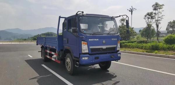 A direção brandnew do assistente de Sinotruck HOWO RHD conduz 10 Ton Cargo Truck 4X2