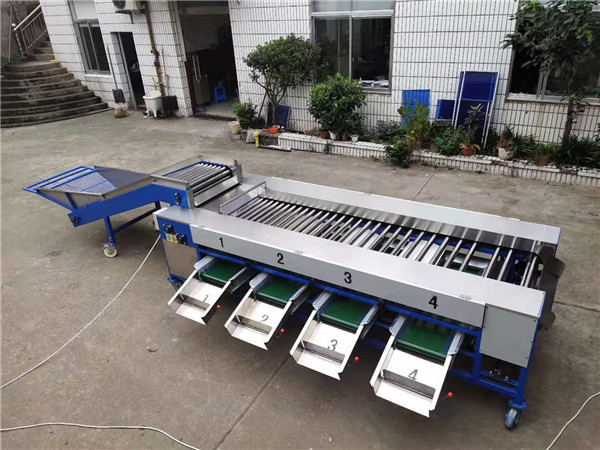 potato grading machine,potato sorting machine,potato sorter