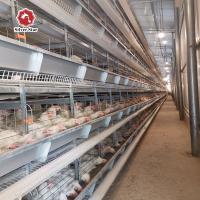 Couches utilisées de la cage 9 de poulet de couche de ferme de poulet de volaille/cellule