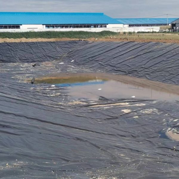 Canal Geo Membrane Waterproof 400gsm Hydraulic Engineering Composite Geomembrane