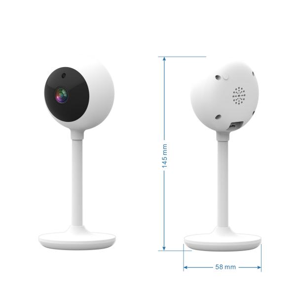 Manufacturer 1080p Indoor Outdoor Fixed Camera Two Way Audio Smart Motion Detection Mini Camera