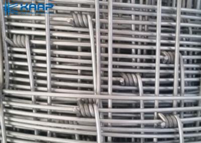 Eco Friendly Woven Wire Mesh Panels Easily Assembled Practical 10-200m Length