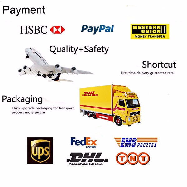 Double Channels Double 32 Well Blocks Clinical Lab Instruments Pcr Rapid Test