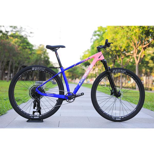 Aluminum Alloy Rim 24 Speed 29 Inch Carbon Mountain Bike for Mountain Adventures