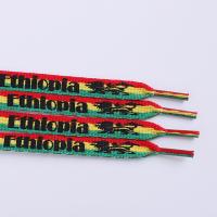 Couleur personnalisée de la corde plate avec des extrémités en plastique 1 cm de largeur