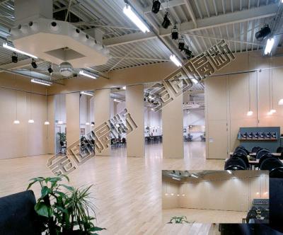 Modern Office Divider Walls Versatile With Track Roller Seal Strip